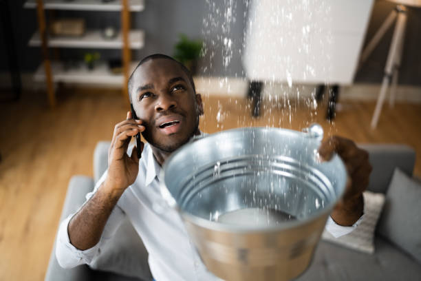 Best Water damage repair service  in West Palm Beach, FL