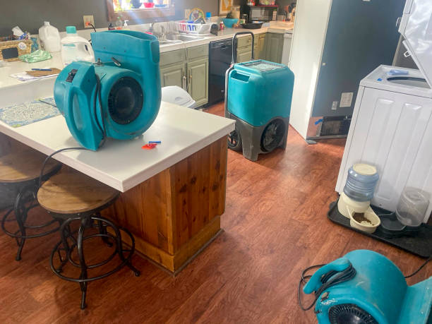 Best Basement water damage restoration  in West Palm Beach, FL