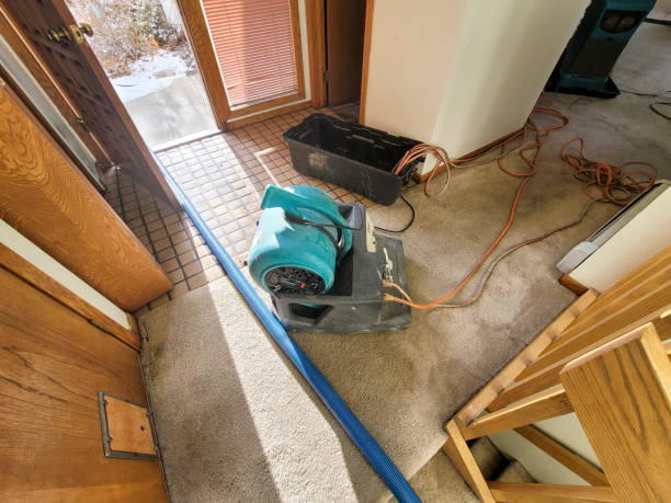 Best Flood restoration services  in West Palm Beach, FL