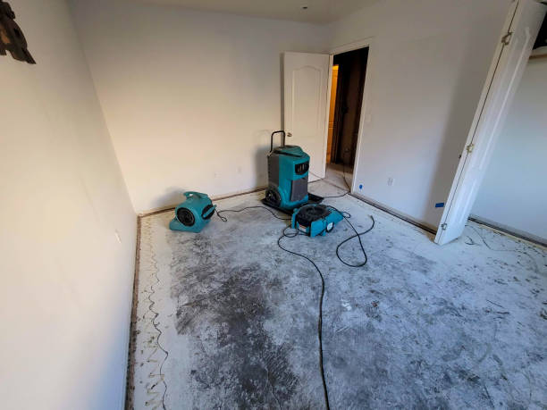 Best Mold removal after water damage  in West Palm Beach, FL