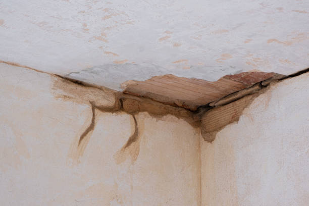 Best Fire Damage Restoration  in West Palm Beach, FL