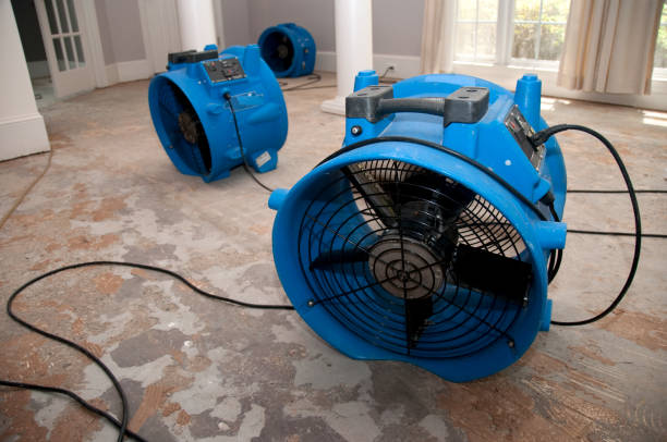 Best Residential water damage restoration  in West Palm Beach, FL