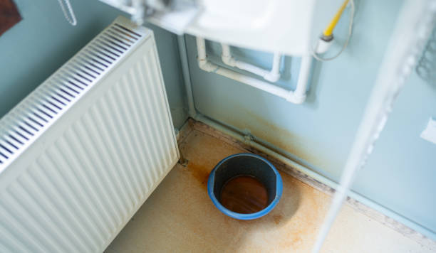 Best Commercial water damage restoration  in West Palm Beach, FL