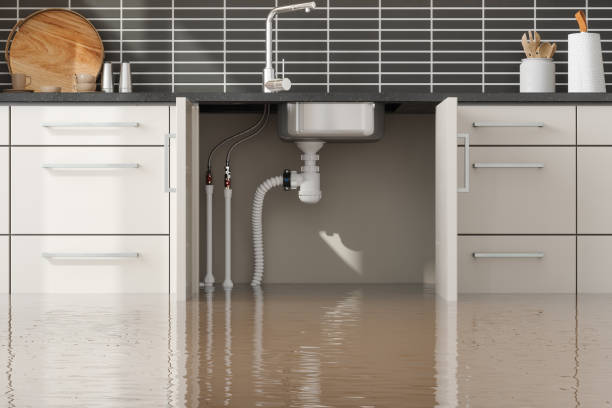Professional Water damage restoration in FL