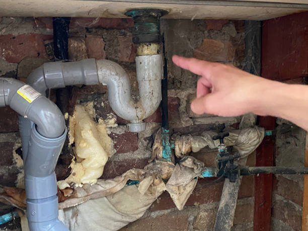 Best Water damage restoration near me  in West Palm Beach, FL