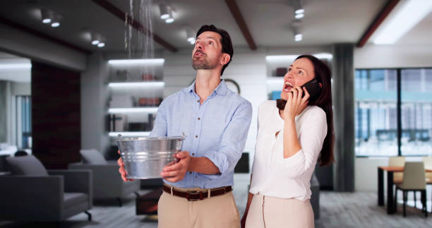 Best 24/7 water damage repair  in West Palm Beach, FL