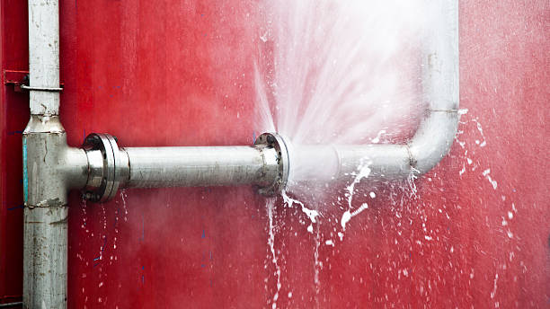 Best Water damage cleanup near me  in West Palm Beach, FL