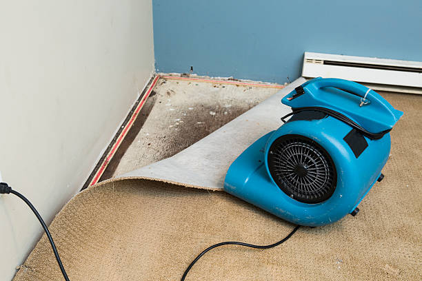 Best Water damage contractors near me  in West Palm Beach, FL